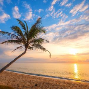 Album The Oceanside from AceToBass