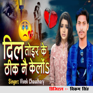 收聽Vivek Choudhary的Dil Toir Ke Aaha Thik Nai Kailu歌詞歌曲