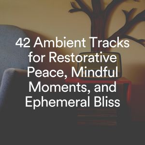 Album 42 Ambient Tracks for Restorative Peace, Mindful Moments, and hemeral Bliss - EP from Relaxation Music