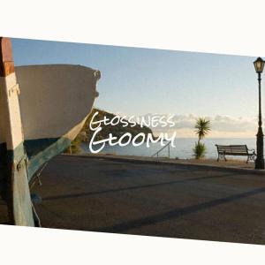 Various的专辑Glossiness Gloomy
