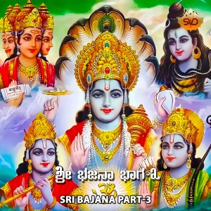 Album Sri Bajana, Pt. 3 from Various Artists