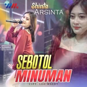 Album Sebotol Minuman oleh Shinta Arsinta