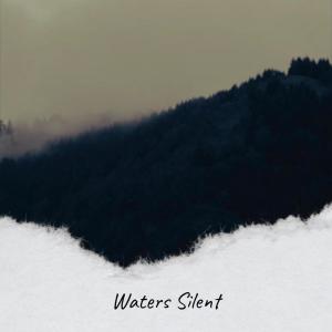Album Waters Silent from Various
