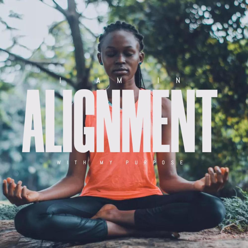 I am in alignment with my purpose (Explicit)