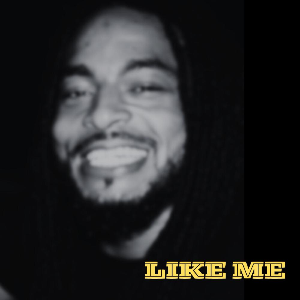 Like Me (Explicit)