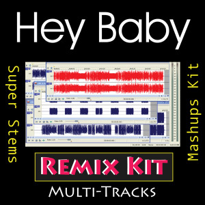 ดาวน์โหลดและฟังเพลง Hey Baby - Drop It To The Floor (128 BPM Instrumental Tribute To Pitbull & T-Pain) พร้อมเนื้อเพลงจาก Remix Kit