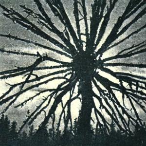 收聽Derson的Regret (Explicit)歌詞歌曲