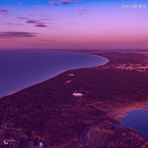 Album Lounge & Lofi Beats from Various