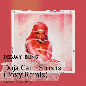 ดาวน์โหลดและฟังเพลง Street (feat. Dj Bling|Explicit) พร้อมเนื้อเพลงจาก PoxyTrack