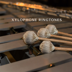 Xylophone Ringtones (Sound Effects and Alarm Clock Deep) dari ASMR Sounds Clinic