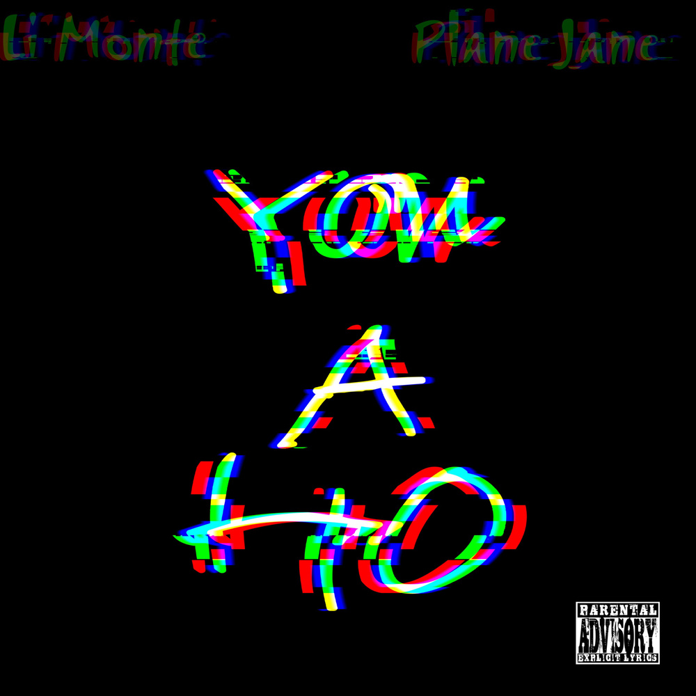You A Ho (Explicit)