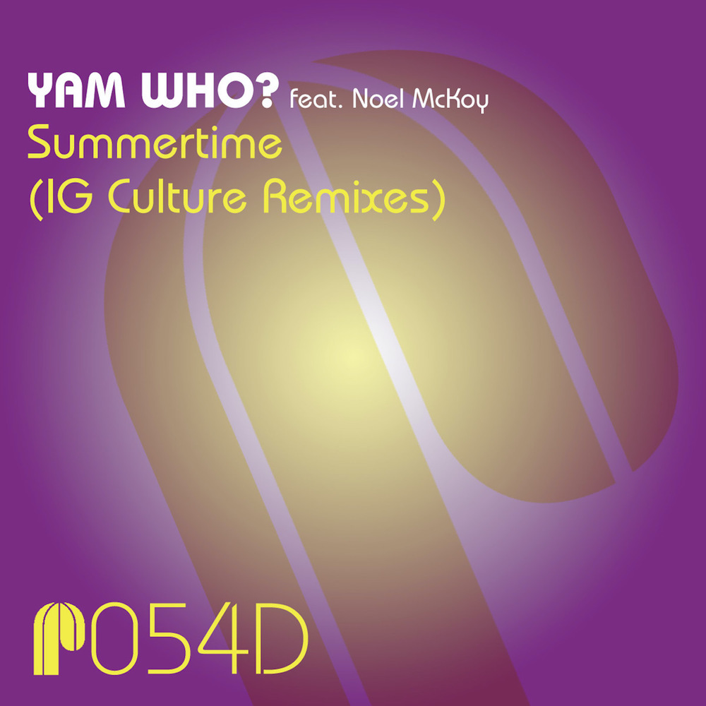 Summertime (NSM Summertime '09 Instrumental Mix)