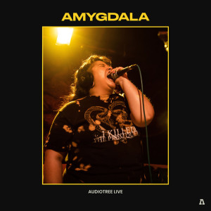 Amygdala的专辑Amygdala on Audiotree Live