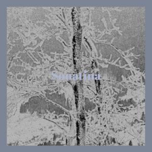 ดาวน์โหลดและฟังเพลง Either Resolve พร้อมเนื้อเพลงจาก Dese Pujie