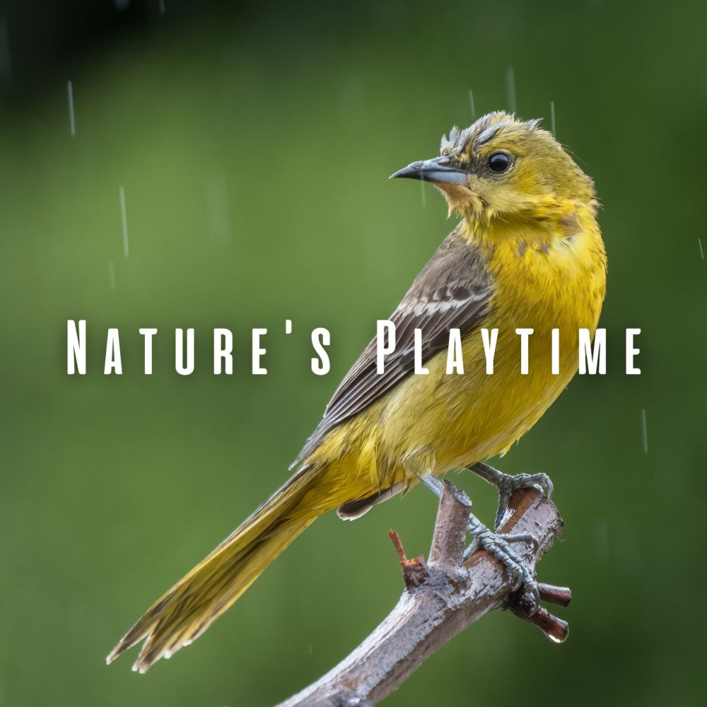 Calming Playful Raindrops