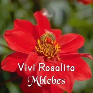 收聽Vivi Rosalita的Mblebes (其他)歌詞歌曲