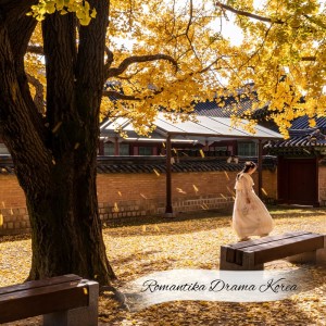收听Revigio的Romantika Drama Korea歌词歌曲