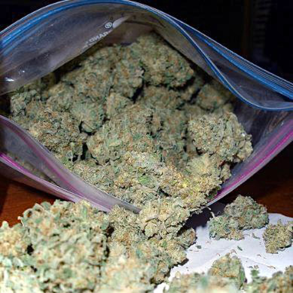 Boof in da Pack (Explicit)