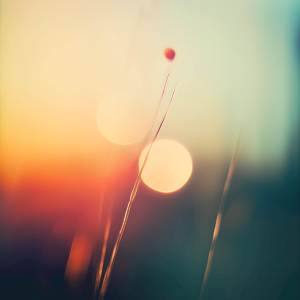 Simon Wester的專輯Distance