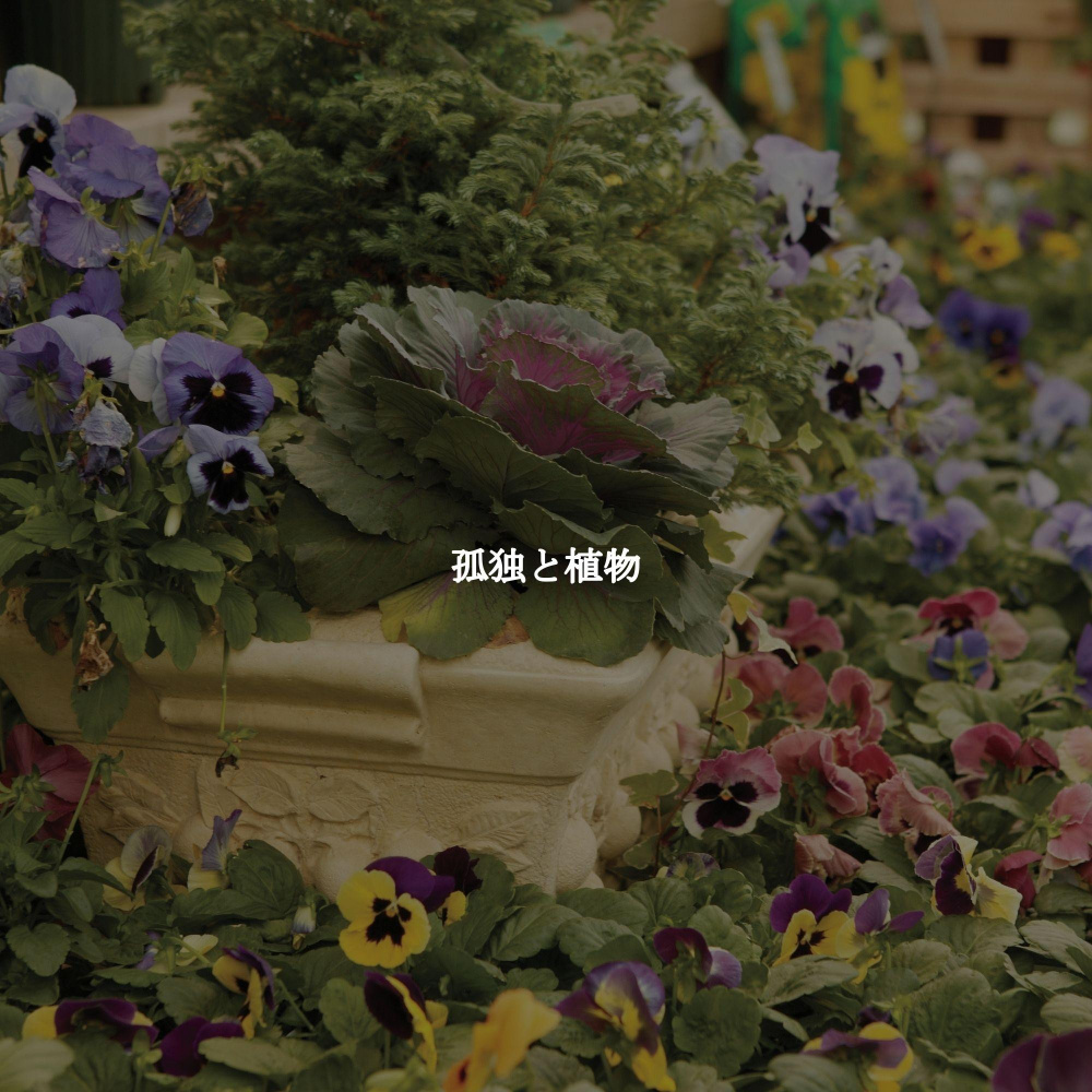 Inspired Ambiance for Gentle Atmospheres