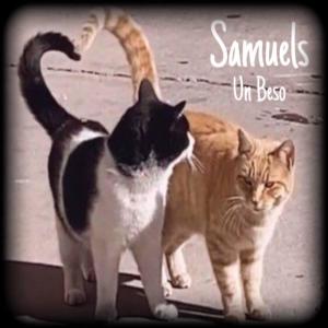 收聽Samuels的Un Beso歌詞歌曲