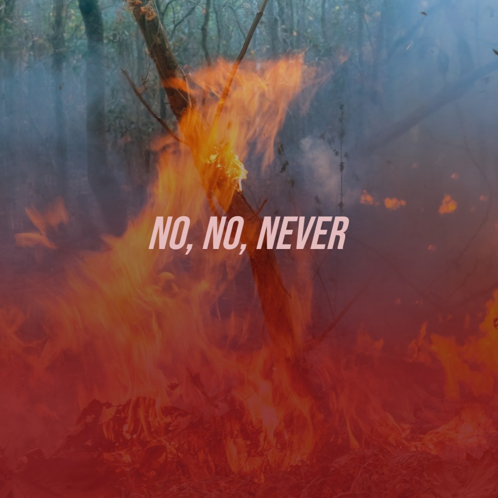 No, No, Never