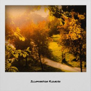 ดาวน์โหลดและฟังเพลง Week Hoping พร้อมเนื้อเพลงจาก Lolly Liva