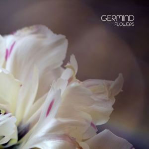 Album Flowers from Germind