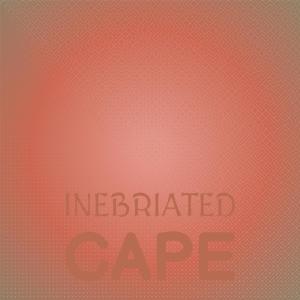 Various的专辑Inebriated Cape