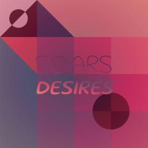 Various Artists的專輯Soars Desires