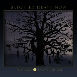 Brighter Death Now的專輯Necrose Evangelicum