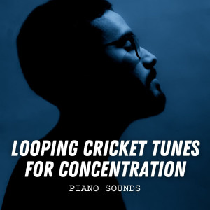 Album Piano Sounds: Looping Cricket Tunes for Concentration oleh Piano Project