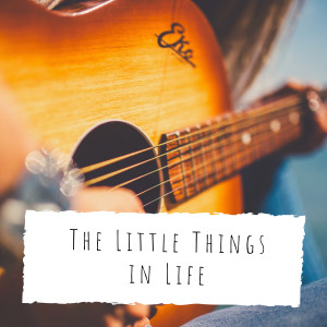Gus Arnheim and His Cocoanut Groove Orchestra的專輯The Little Things in Life