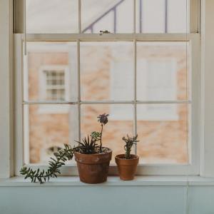 Dengarkan Simple lagu dari Relaxing Music dengan lirik