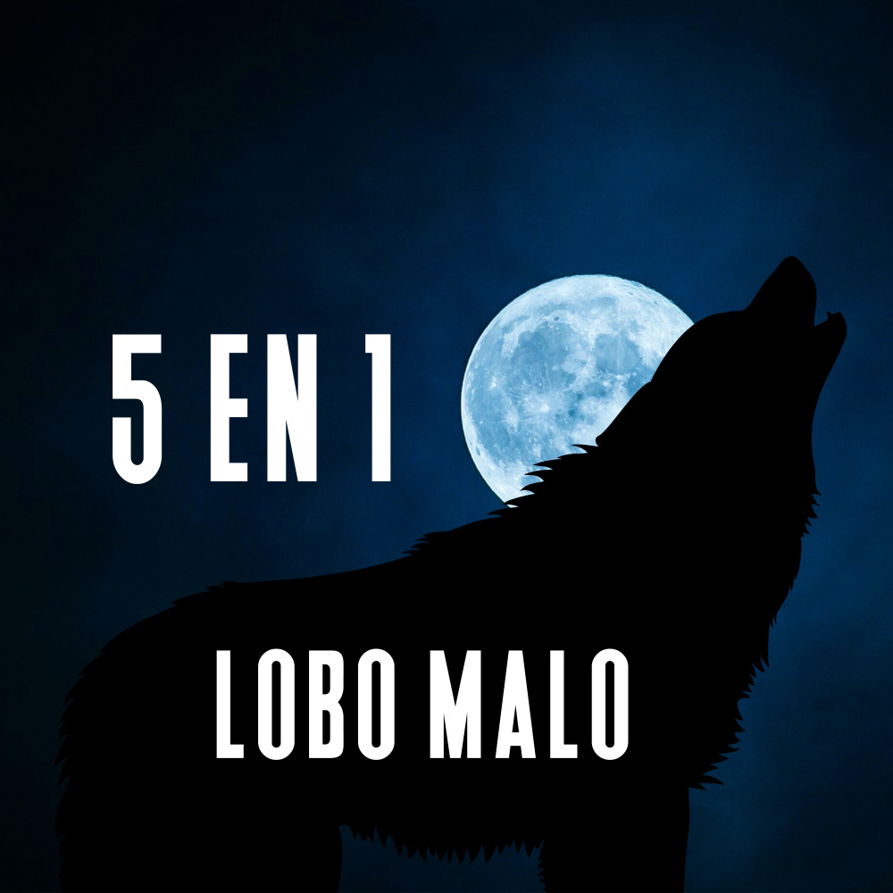 5 en 1 (Explicit)
