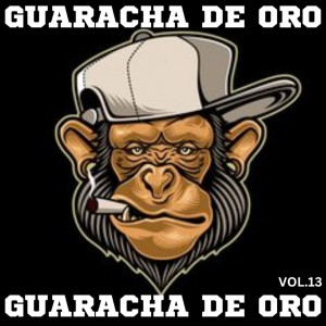Listen to GUARACHA song with lyrics from DJ Monkey