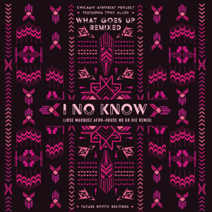 ดาวน์โหลดและฟังเพลง I No Know (Jose Marquez Afro-House No Go Die Remix) พร้อมเนื้อเพลงจาก Chicago Afrobeat Project