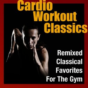 收聽Cardio Workout Team的Ride of Valkyries Workout Remix (Wagner)歌詞歌曲