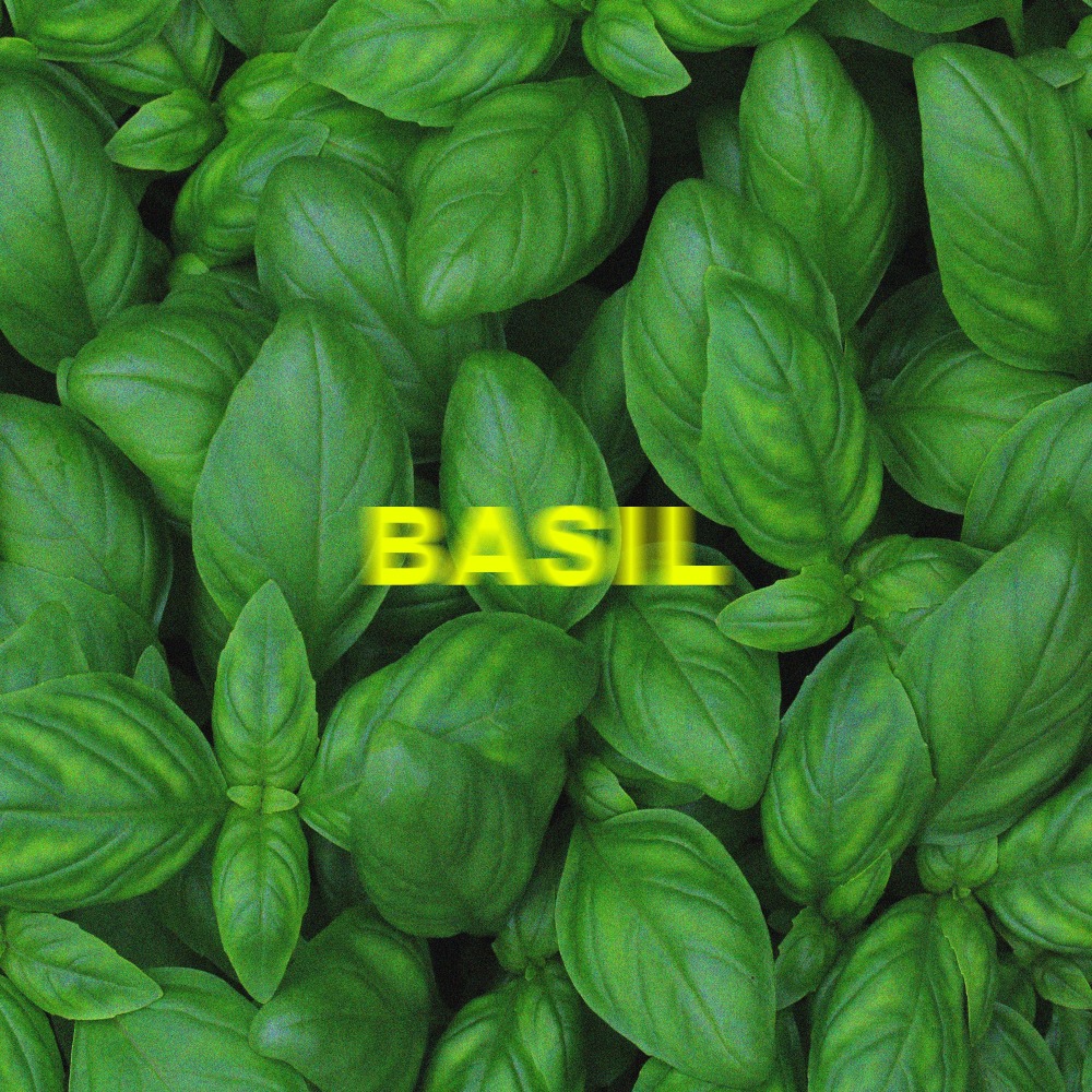 Basil (Explicit)