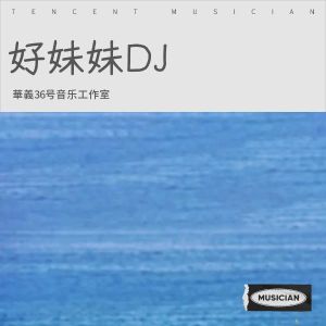 Listen to 好妹妹DJ (完整版) song with lyrics from 華義36号音乐工作室