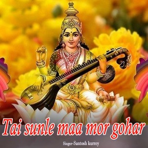 Dengarkan lagu Tai sunle maa mor gohar nyanyian Sushil Patle dengan lirik