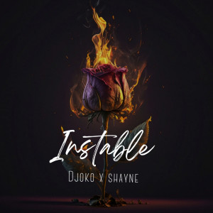 Listen to INSTABLE song with lyrics from DJOKO