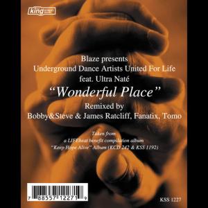 ดาวน์โหลดและฟังเพลง Wonderful Place (Bobby&amp;Steve &amp; James Ratcliff Afro Mix) พร้อมเนื้อเพลงจาก Blaze