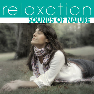 收聽The Hit Crew的Sound Of The Forest歌詞歌曲