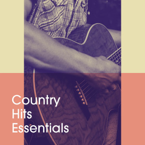 อัลบัม Country Hits Essentials ศิลปิน Country Music All-Stars