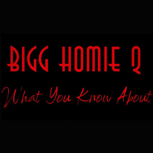 Listen to What You Know About song with lyrics from Bigg Homie Q