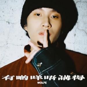 收聽Wolfe的有啲嘢唔講得歌詞歌曲