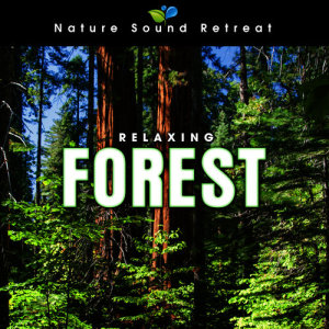Nature Sound Retreat的專輯Relaxing Forest Meditation with Birds and Wind