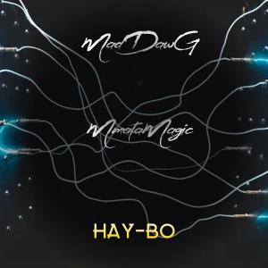 Album Hay-Bo (with MmataMagic) from 