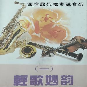 Dengarkan lagu 用心良苦 nyanyian 珠影乐团小乐队 dengan lirik